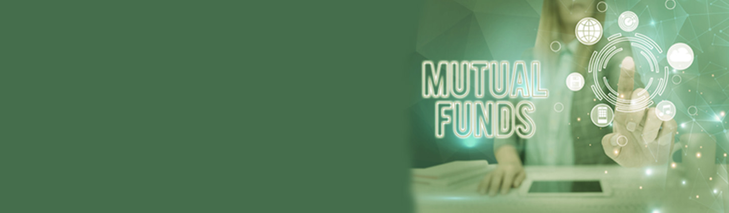 What Are Blue Chip Mutual Fund